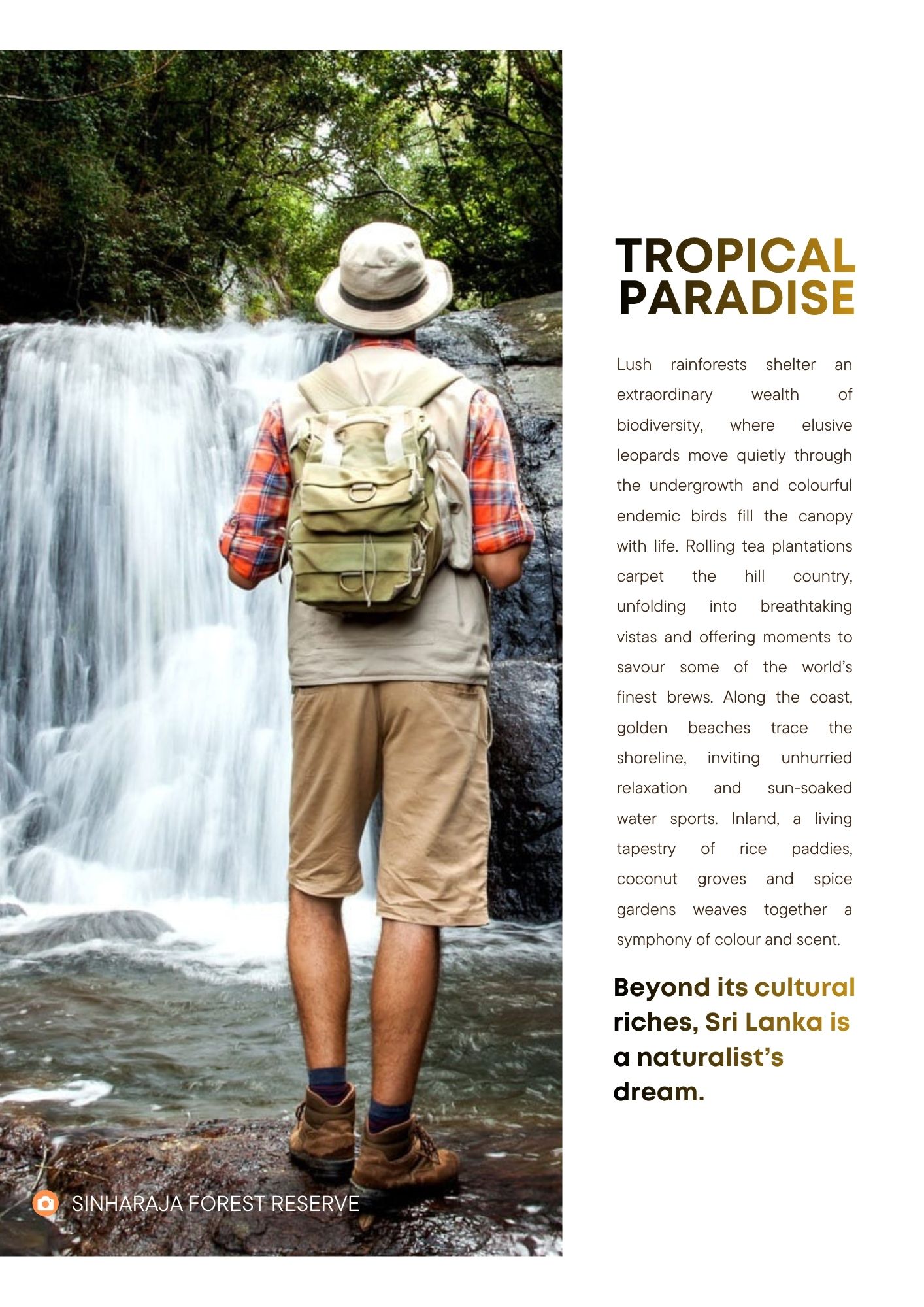 LUXESIO Magazine — Tropical Paradise, Sinharaja Forest Reserve