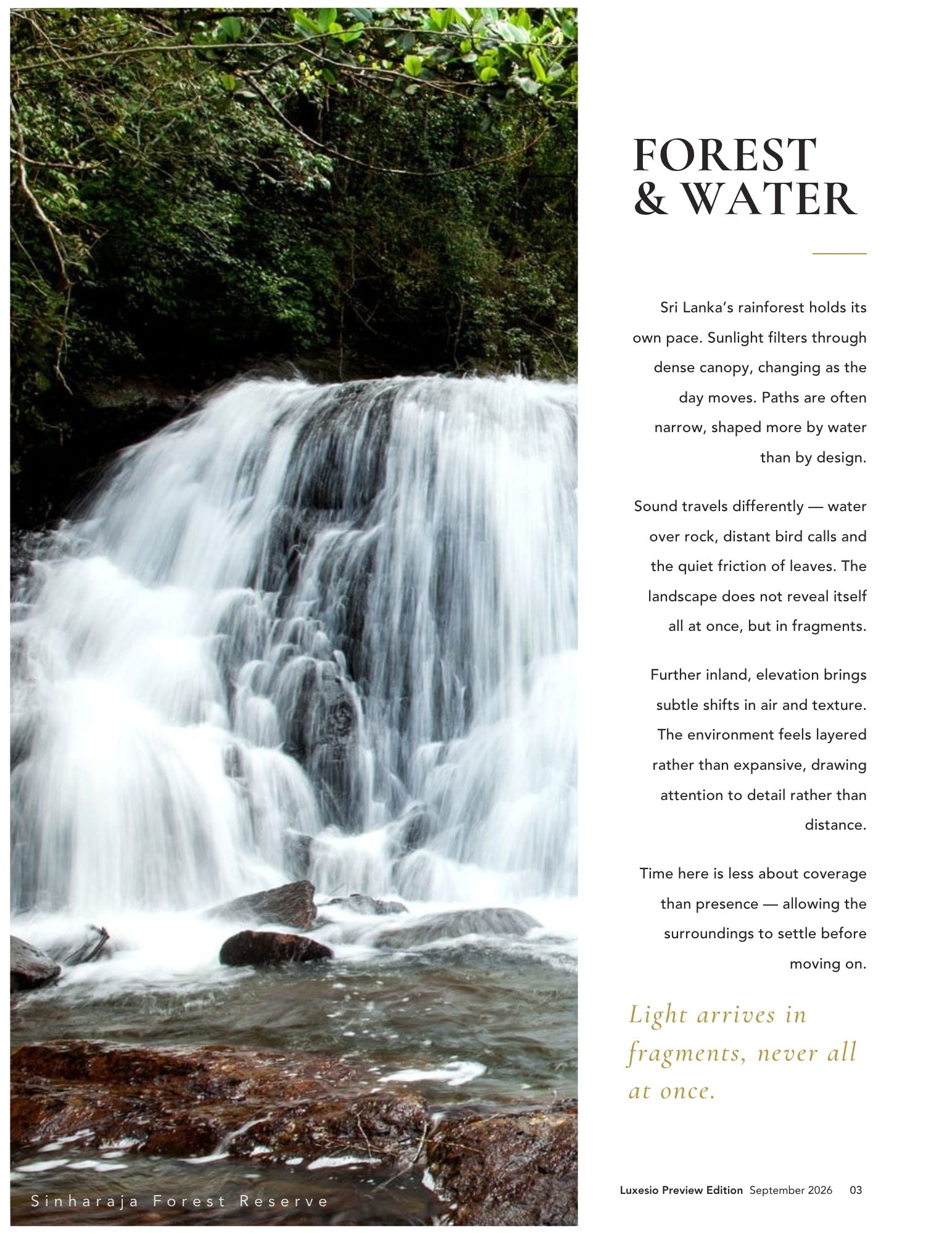 LUXESIO Magazine, Sinharaja Forest Reserve